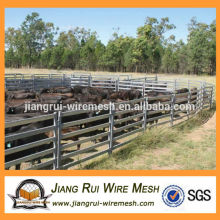 1.8m x 2.1m cattle panel for Australia(Anping factory)